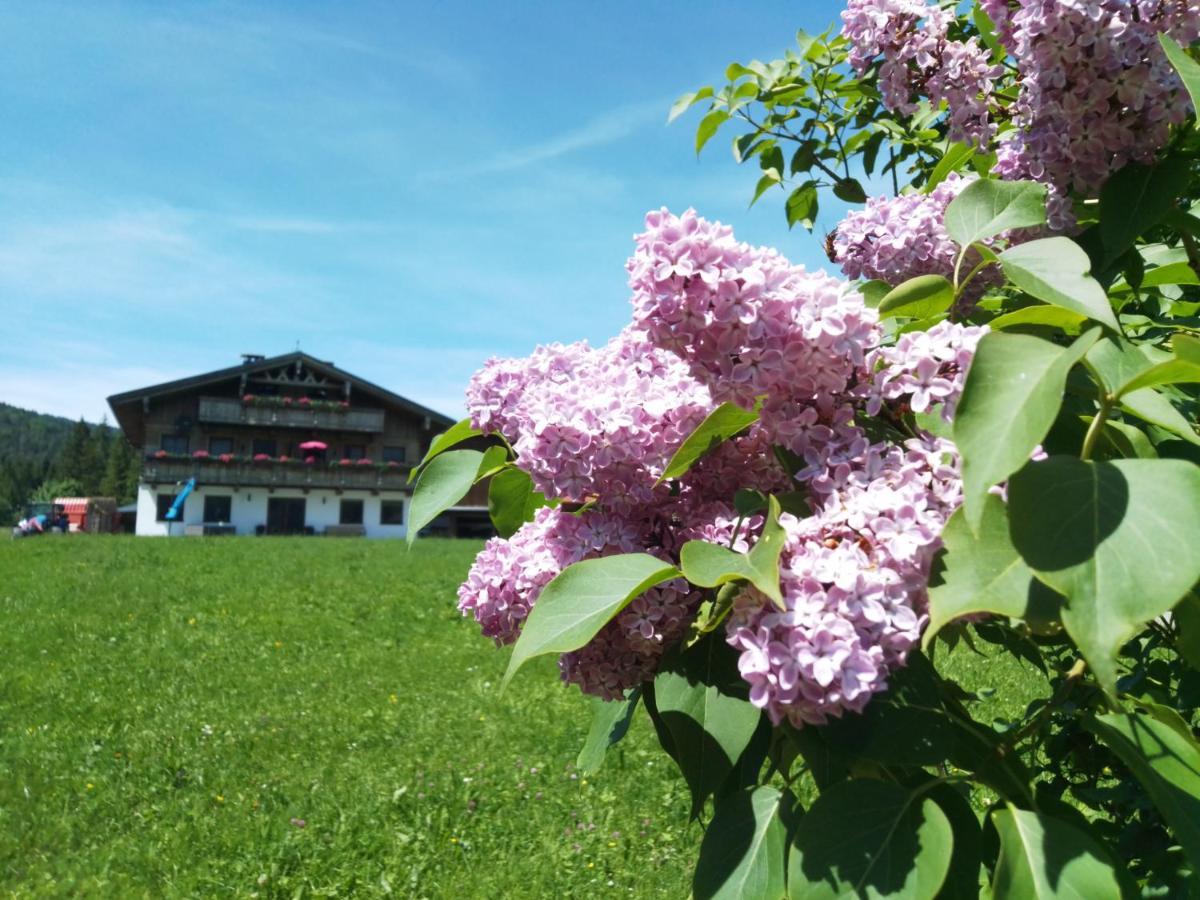 Hinterwinkl Apartment Achenkirch